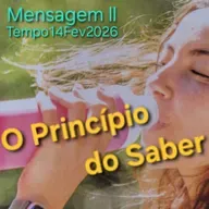 O Princípio do Saber