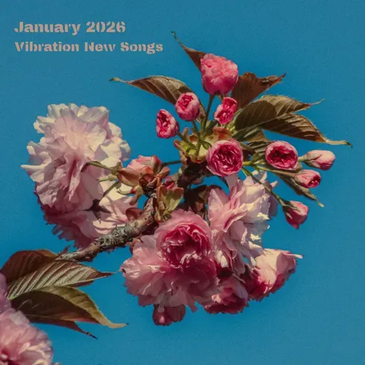 1月新歌推荐丨XG、坂本慎太郎、啤酒妹、Leo王…新年爆发🎉