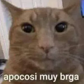Misuri