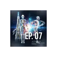 07 estructura y función humana