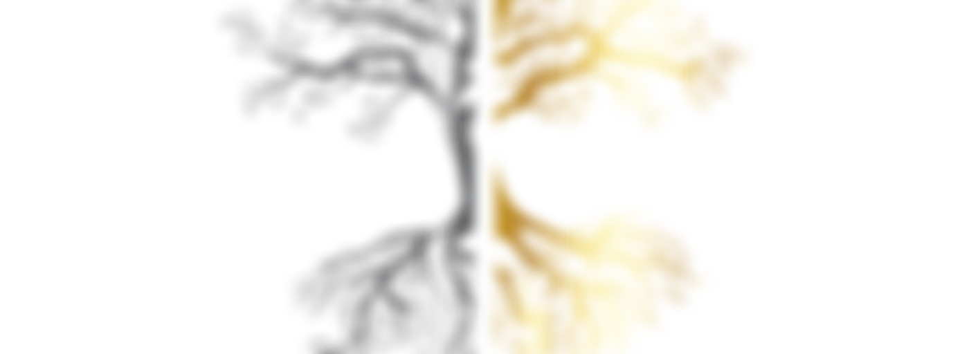 Legendarium Türkiye