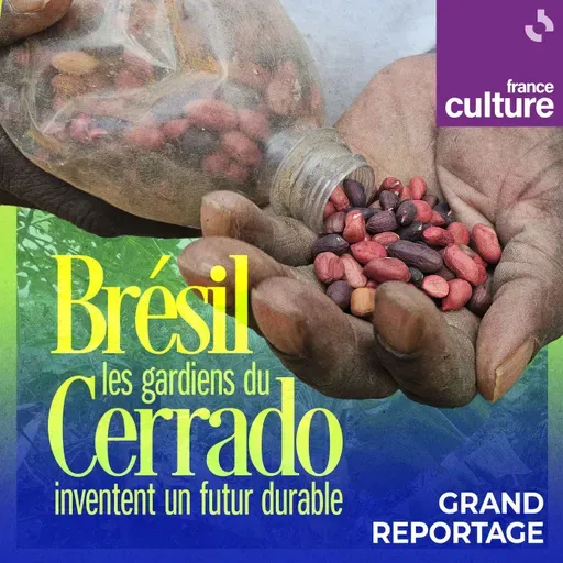 Au Brésil, les gardiens du Cerrado inventent un futur durable 1/5 : Le quilombo Macuco en quête d’autonomie alimentaire : "Nous résistons ici"