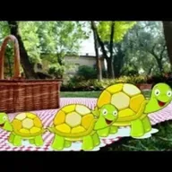 O piquenique das tartarugas