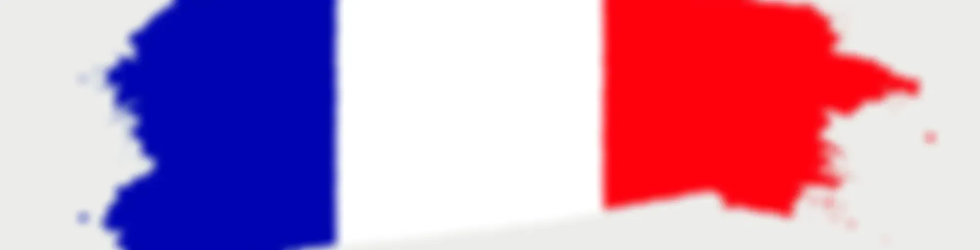 Louis French Lessons