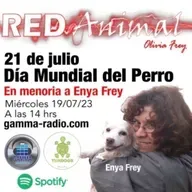RED ANIMAL CON OLIVIA FREY/DÌA MUNDIAL DEL PERRO, EN MEMORIA A ENYA FREY