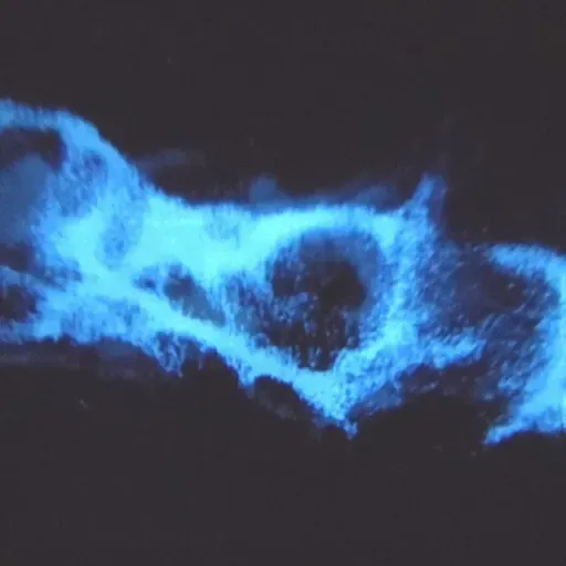 Emisión 4 Temporada 0 PRIMERA PARTE 08 - 05 - 2021 RadiOOndaNovedaD