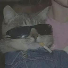 moonchild 1999