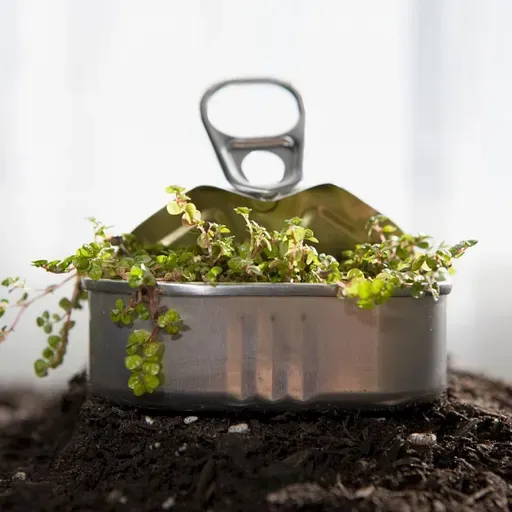 Tikai puse Latvijas iedzīvotāju zina, kā pareizi šķirot atkritumus. Kā to mainīt?