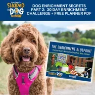 Dog Enrichment Secrets Part 2: 30 Day Enrichment Challenge + Free Planner PDF #315