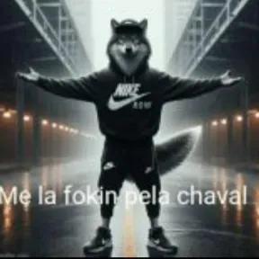 Fafo DJ
