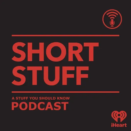 Short Stuff: Alternative Libraries