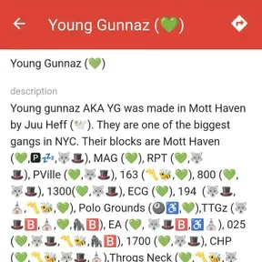 800 YGZ