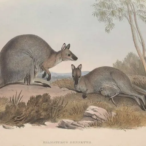 S8 Ep527: Jeremy Zakis reports on kangaroos' protective instincts during bushfires and warns of aggressive bull sharks entering Sydney's muddy freshwater waterways due to recent heavy rainfall.