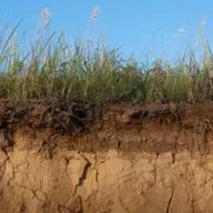 🌱🎙️Carbono bajo tierra: ¿Se puede jugar y entender su ciclo?
