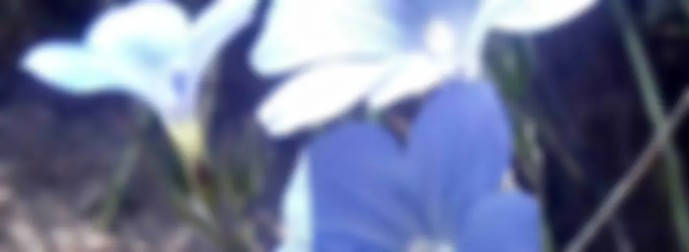 «Radio» UnPlanDivino