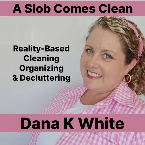509: Getting Unstuck in Overwhelming Decluttering Situations