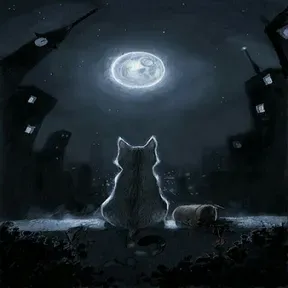 By Night