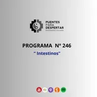 Programa Nro.246 de Puentes para Despertar "Intestinos"