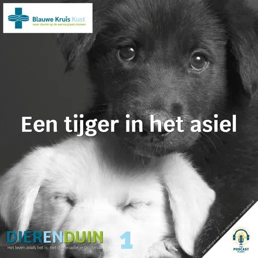 Dierenduin - aflevering 1