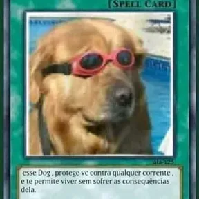 Maykon