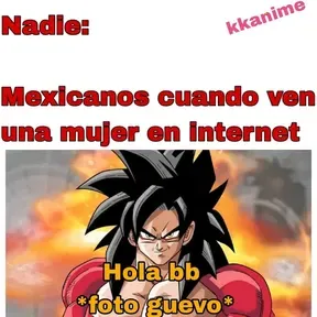 Activo247
