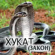 39. Хукат — Бемидбар (Числа) 19:1-22:1