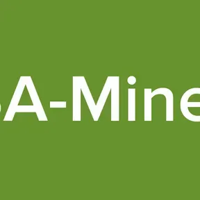 WLSA-MineCity