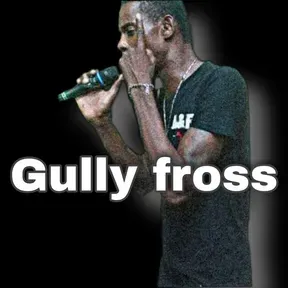Gully Fross radio