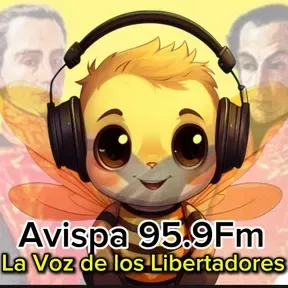 Avispa 95.9 Fm