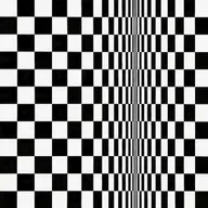Bridget Riley | Movement in Squares (encore)