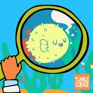 What Sounds Do Fish Make?