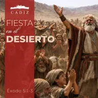Fiesta en el desierto
