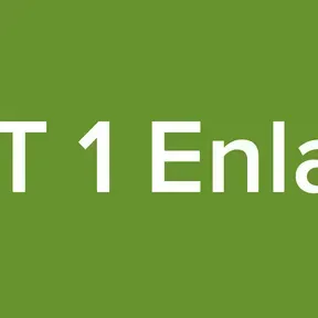 RPT 1 Enlace