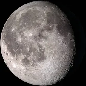 Neka peva ova kuća
