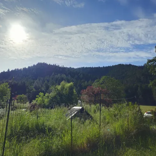 Let Yourself Rest - Season 3 Premiere