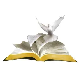 Pentecostais Online