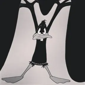 Anonimo