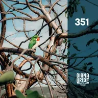 Puerto Rico IV: La naturaleza que habita la isla