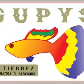 Radio Gupys