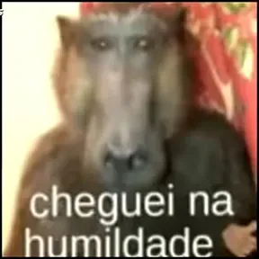 DMzXSamp.