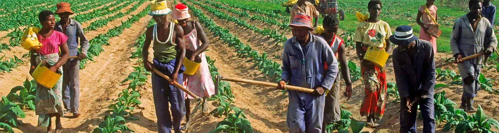 Radio Communautaire et Rurale de la Mefou et Afamba