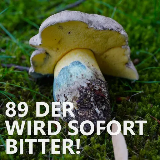 #89 Der wird sofort bitter!