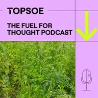 Building a Hempire: SGP’s bioenergy journey