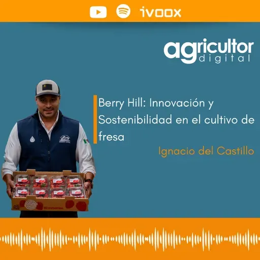 Berry Hill: Innovación y Sostenibilidad en el cultivo de fresa   #57 - Agricultor Digital