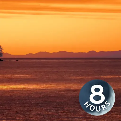 Barulho de mar relaxante para dormir, estudar ou meditar | Ruído branco (8 horas)