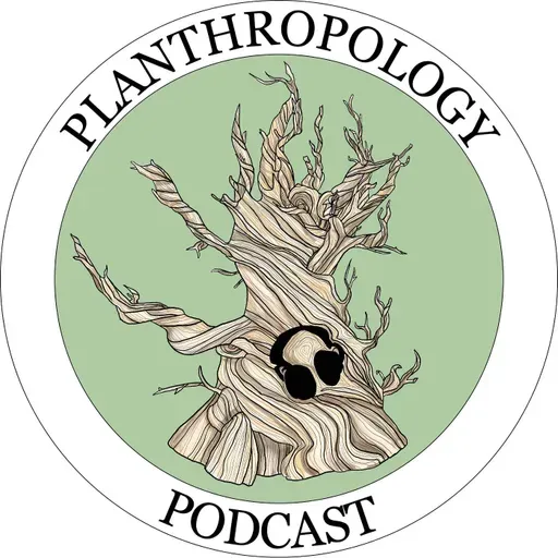 91. Black Apples, Rage Farming, and Weaponized Nonsense