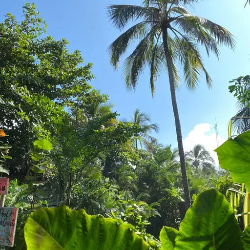 ¿PLAYA O CALLE? Transporte en la zona.