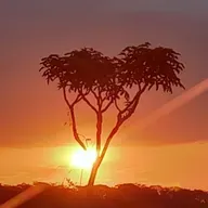 recebendo nosso direito de herança