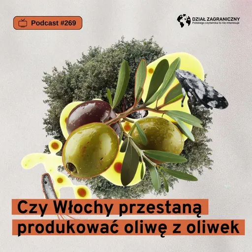 Czy Włochy przestaną produkować oliwę z oliwek (Dział Zagraniczny Podcast#269)