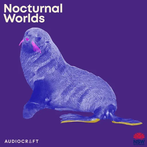 New Zealand Fur Seal